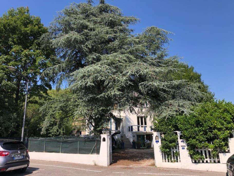 Villa Les Terrasses Dans La Nature Avec Piscine A 2 Pas De Lyon, Metro A 15Mn A Pied Pour Lyon Centre En 10Mn Ou Bus A 300M Pour Lyon Centre أولينز المظهر الخارجي الصورة
